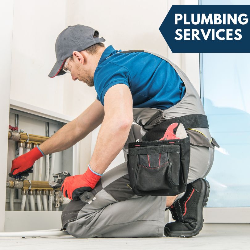 Plessis Plumbing Company
